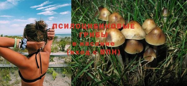 прущий лед Гусь-Хрустальный