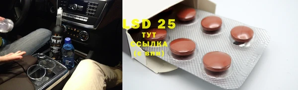 шишки Горнозаводск