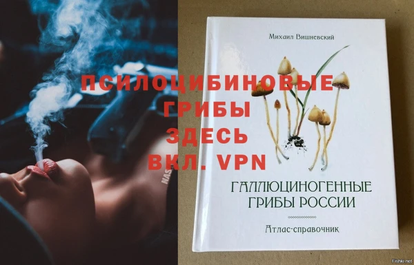 сатива Гусиноозёрск